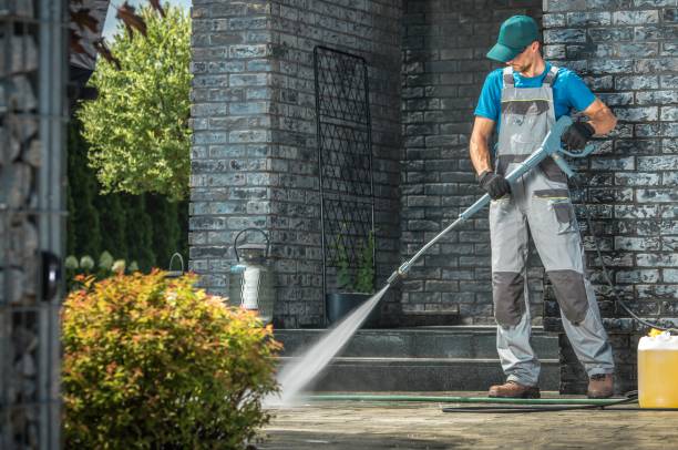 Best Driveway Pressure Washing  in Hamlet, IN